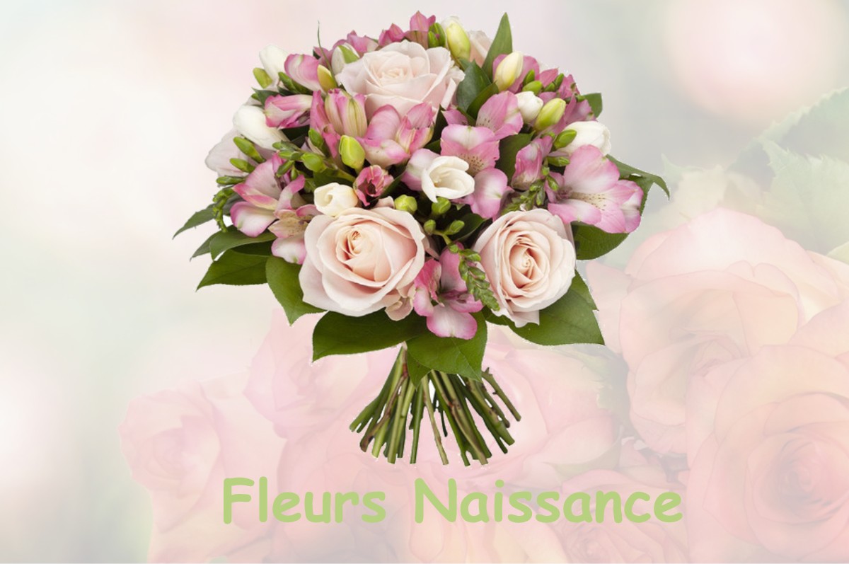 fleurs naissance CHAMALIERES-SUR-LOIRE