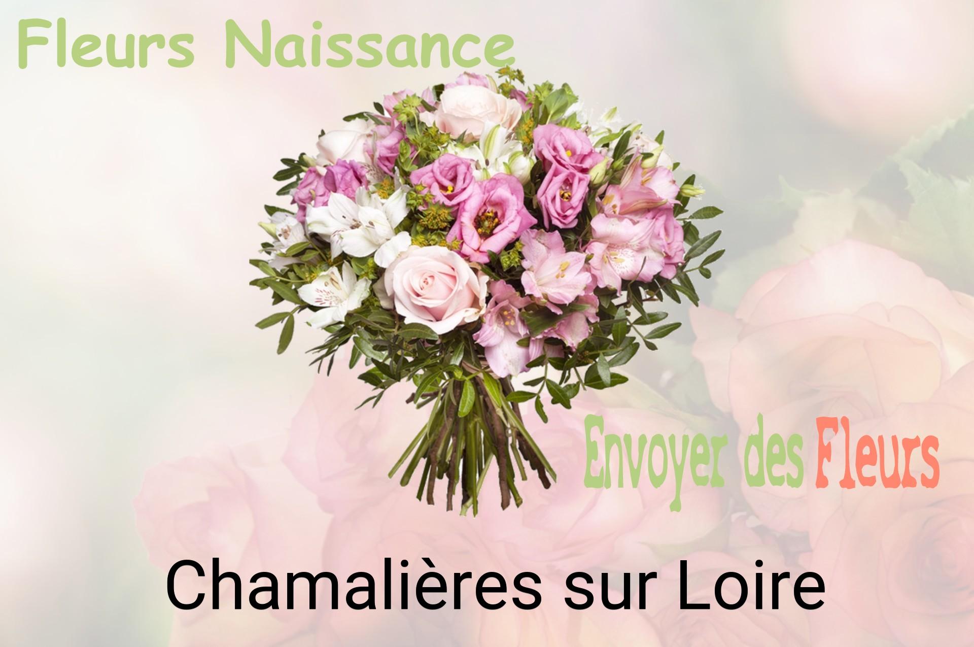 Bouquet de fleurs de naissance livré à Chamalières-sur-Loire